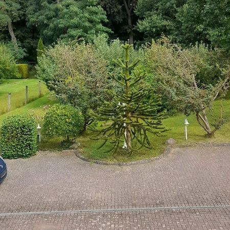 Pension Zum Park Goldberg 外观 照片
