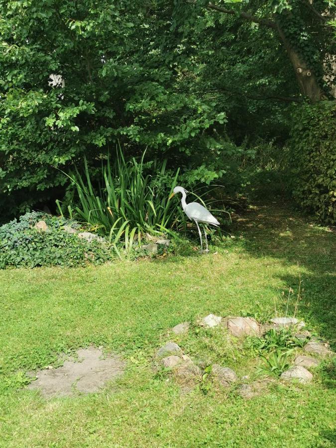 Pension Zum Park Goldberg 外观 照片