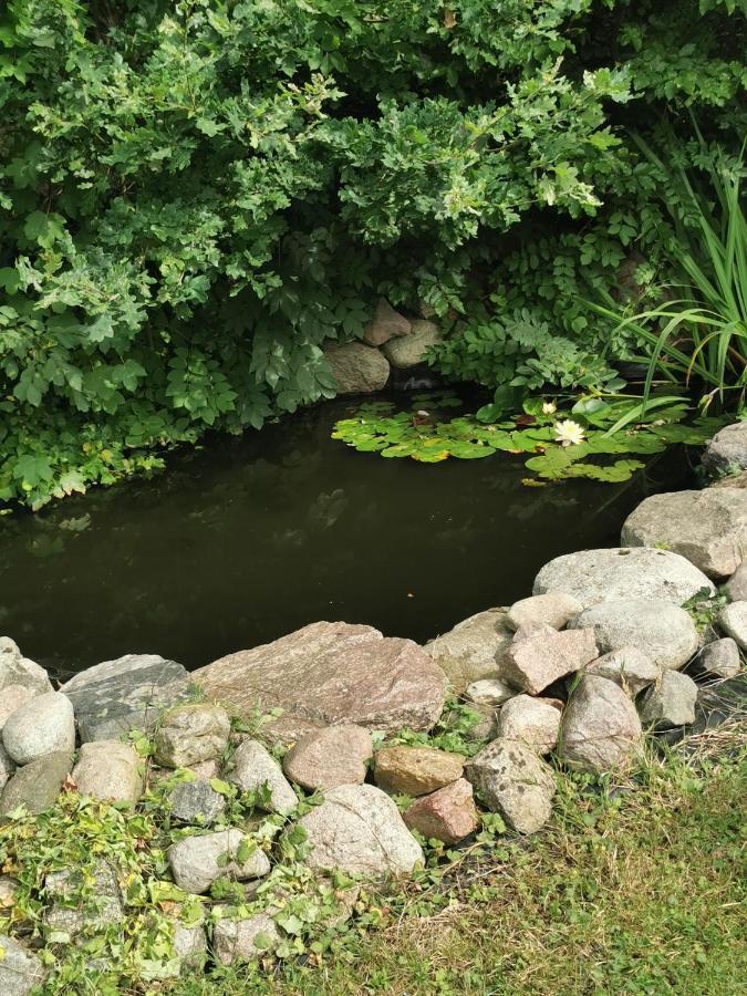 Pension Zum Park Goldberg 外观 照片